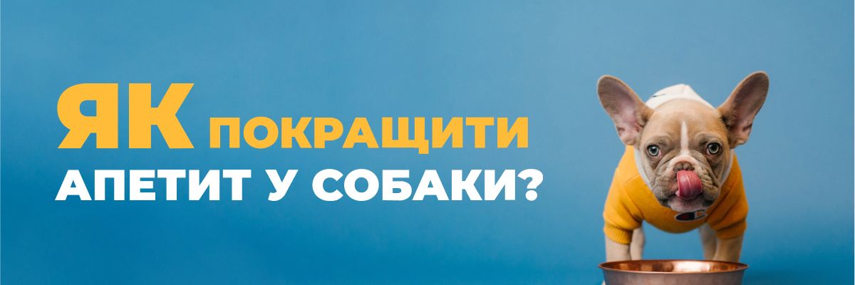 Почему собаки лают на почтальонов